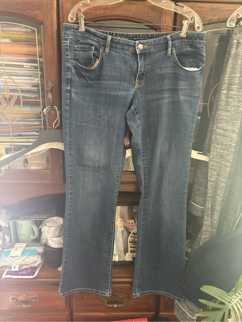 Jeans Women's Medium Wash Flare Jeans
